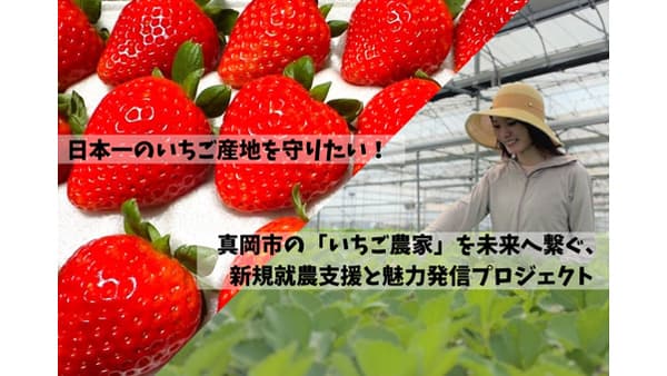 栃木県真岡市「いちご王国」の未来を守るプロジェクトに挑戦中