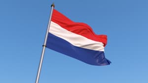 オランダの窒素大幅削減策に農業団体が反発　家畜数削減の恐れなどで大規模デモに