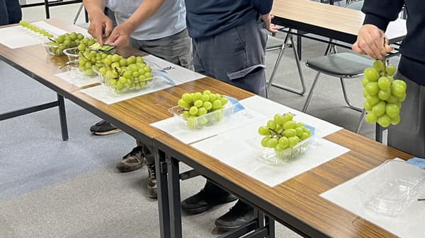 ふるさと納税返礼品　果実の品質確保に向けた取り組みを徹底