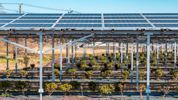 不適切事案への厳格な対応など求める　営農型太陽光発電めぐり自民党が提言まとめ