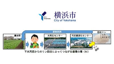 「下水汚泥」から回収した「リン」を資源に　肥料利用を開始　横浜市