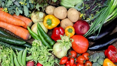 3月の野菜生育状況　ばれいしょとレタスは前半がお買い得　農水省