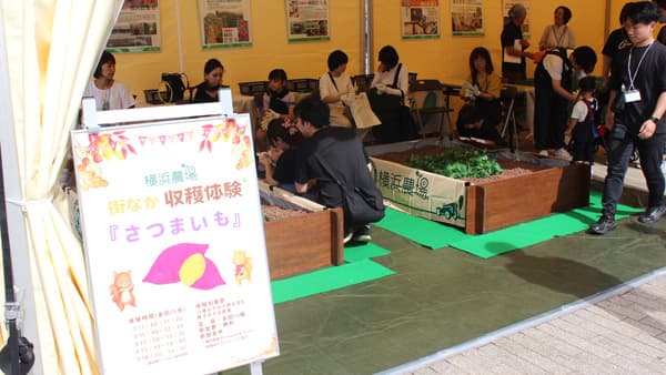 みなとみらいでお芋掘り「横浜おいも万博2025」さつまいも収穫体験開催