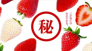 「いちご王国・栃木」の秘密が明らかに「いちご王国」動画配信