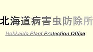 りんごの黒星病に薬剤耐性菌確認