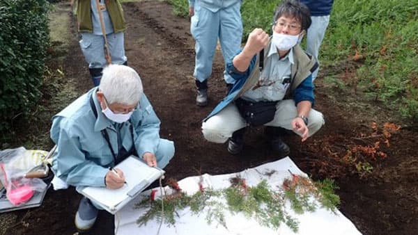 神奈川県職員採用選考　農政技術（森林）経験者を募集中
