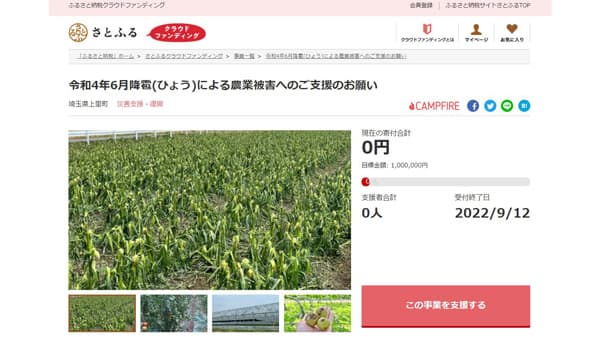 「さとふる」で降雹被害の農業者を支援　寄付を受付開始　埼玉県上里町