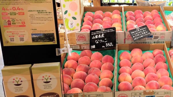 農業分野から脱炭素　山梨県産「シャインマスカット」首都圏3店舗で販売
