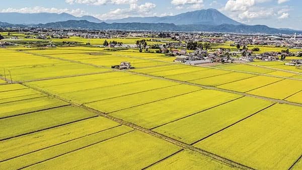 【田代洋一・協同の現場を歩く】盛岡・農事組合法人となん　受託農地維持は"薄氷"　"小さな協同"を模索