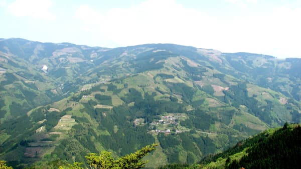 都道府県初「宮崎県再造林推進条例」2日に施行