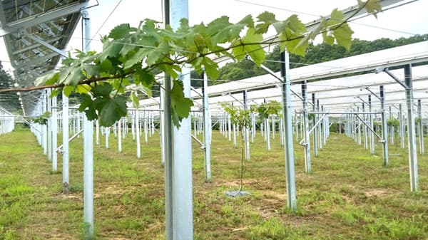 農業農村の再エネ実践へ努力重ねる地方の先駆者　急がれる制度化　早稲田大学名誉教授・堀口健治氏