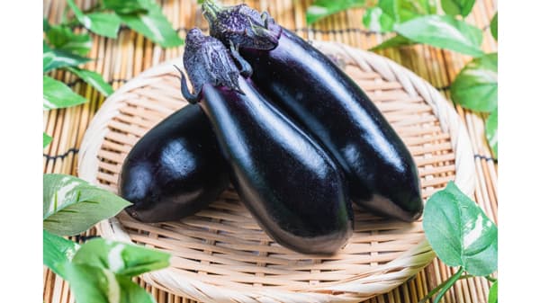 岡山市のナス　ヤンマー本社ビルのレストラン「SEA&FARM by YANMAR MARCHE」で提供