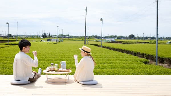 「狭山茶」を五感で味わう「茶畑テラス」プラン紹介　埼玉県入間市