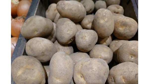 ポテトチップからも残留農薬　輸入米に続き検出　国会で追及