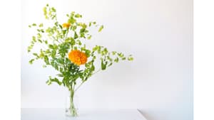 切り花の出荷量　コロナ影響続く　2021年産