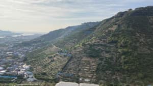 世界農業遺産に石積み階段園の「和歌山県有田・下津地域」を申請　農水省