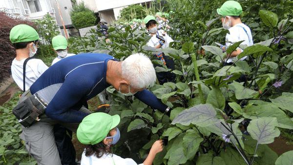 「食」と「農」　将来担う子どもたちにどう伝える　模索する学校現場【校長先生アンケートから】