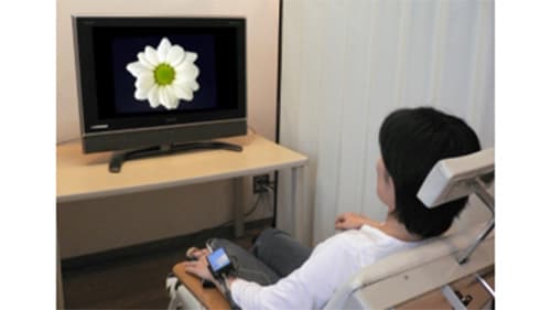 花の観賞によるストレス緩和効果を実証　農研機構