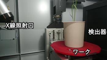 Ｘ線ＣＴでポット植え作物の根を非破壊で可視化　農研機構