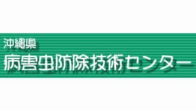 パパイヤ黒腐病を確認　感染源の適切な処分を　沖縄県病害虫防除技術センター