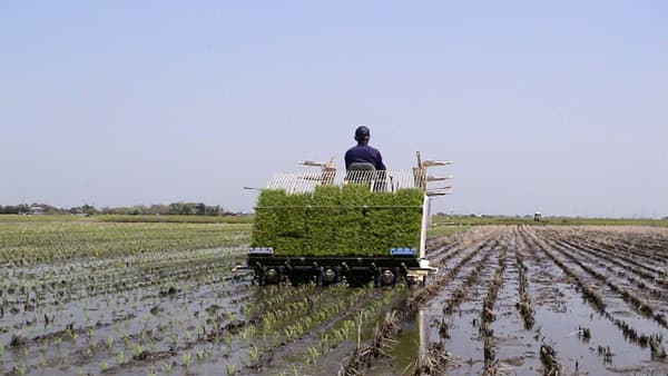 耕地利用率　91.4％－令和元年統計　農水省