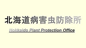 タマネギ灰色腐敗病の薬剤耐性を確認　北海道病害虫防除所