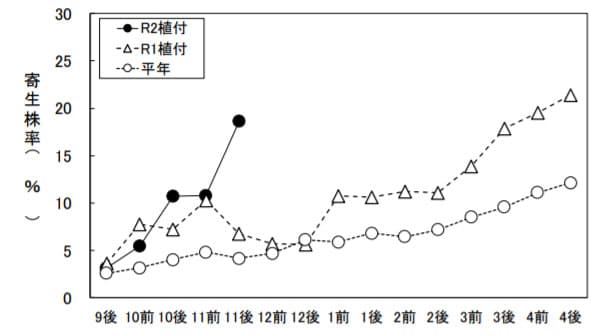 引き続きイチゴのハダニ類多発生に注意