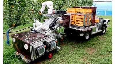 果実収穫ロボで省力化を推進　農研機構、立命館大学、デンソーが開発