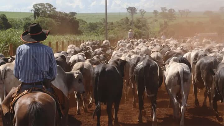 【クローズアップ：牛肉輸入】米国産牛肉ＳＧ発動へ　日米通商新たな火種に