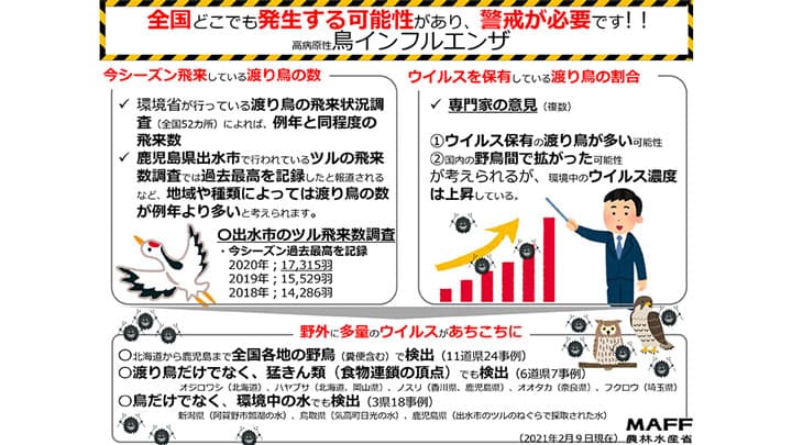 【鳥インフル】千葉県　9、10例目発生－殺処分400万羽超