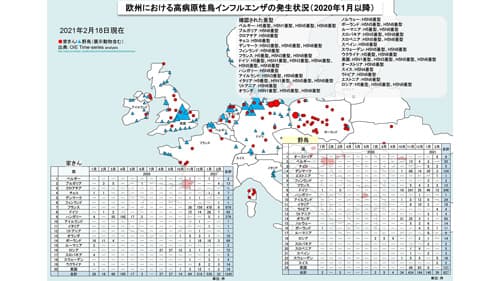 鳥インフル　ロシアでヒトへの感染確認　国内でも防疫万全対策
