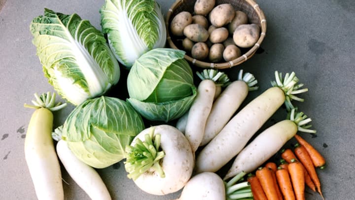 はくさい、キャベツが安値傾向　3月の野菜の生育状況と価格見通し　農水省