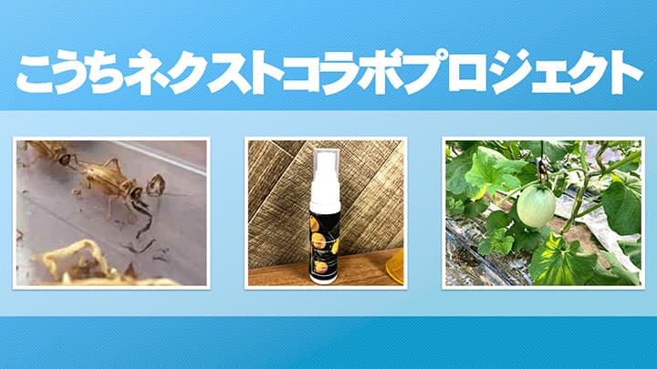 ゆずやメロン栽培など3つの新事業開発プロジェクト開始