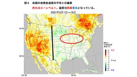 米国農家のトウモロコシ作付け意向「微増」　相場高騰－米農務省