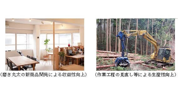 これからの林業の可能性を提示　令和2年度森林・林業白書を公表　農水省