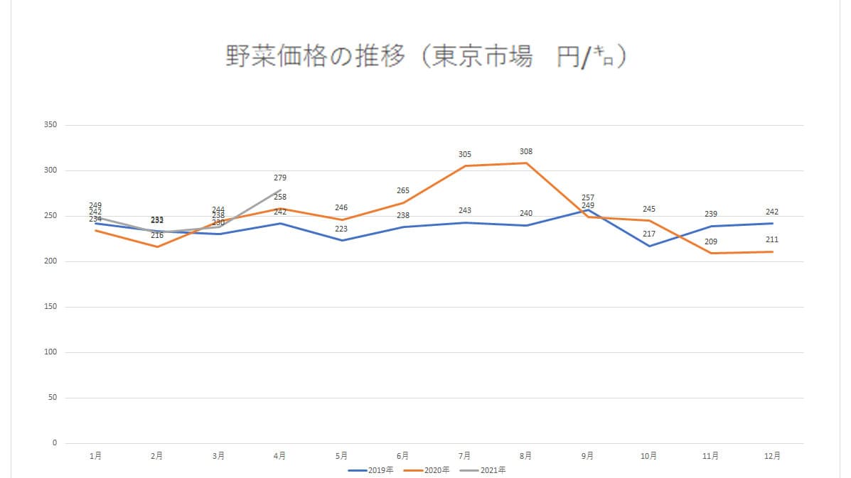 野菜市況低迷続く　出荷谷間で回復も一時的