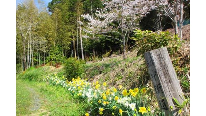 花の社会性がまちをつくる「全国花のまちづくりコンクール」受賞者決定