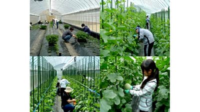 農林水産・食品分野の技術交流展示会 「アグリビジネス創出フェア2021」開催　農水省