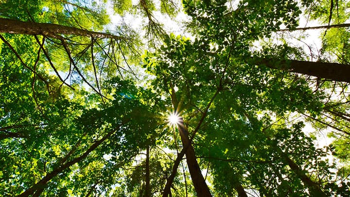 特集「許すな命の格差　築こう協同社会」を企画するにあたって