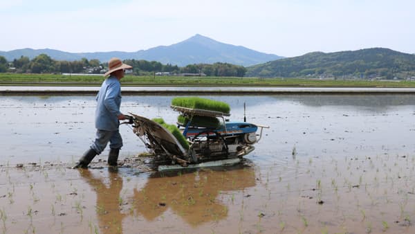 【特集：許すな命の格差　築こう協同社会】現地ルポ：ＪＡやさと（茨城）地域活性化に主眼　担い手育成を重視　神生組合長と廣澤専務に聞く