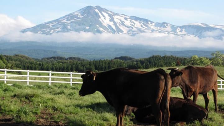 【特集：許すな命の格差　築こう協同社会】現地ルポ：ＪＡ秋田しんせい　農業経営支援　持続可能性確保への挑戦