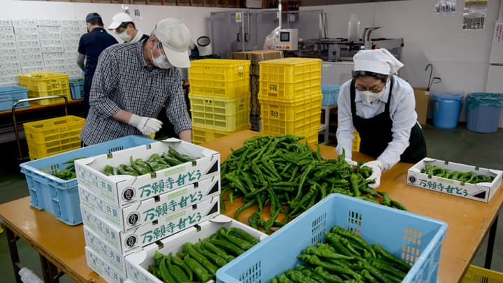 【特集：許すな命の格差　築こう協同社会】現地ルポ：京都にのくに　スリムで強固な経営確立へ