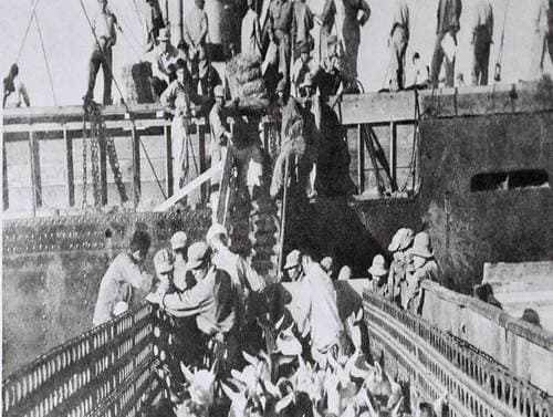 第3回　農協がエンジンとなり車輪となって農業を振興【普天間朝重ＪＡおきなわ代表理事専務】