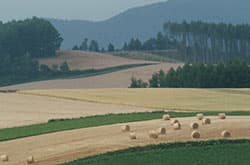 【ＪＡ改革の本質を探る】北海道力・国力は農業・地域に宿る　「地域と歩む」 育つ心情（下）