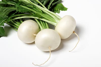 飽食追求のいまだからこそ必要な飢餓の歴史教育（２）【薄井 寛（元ＪＣ総研理事長）】