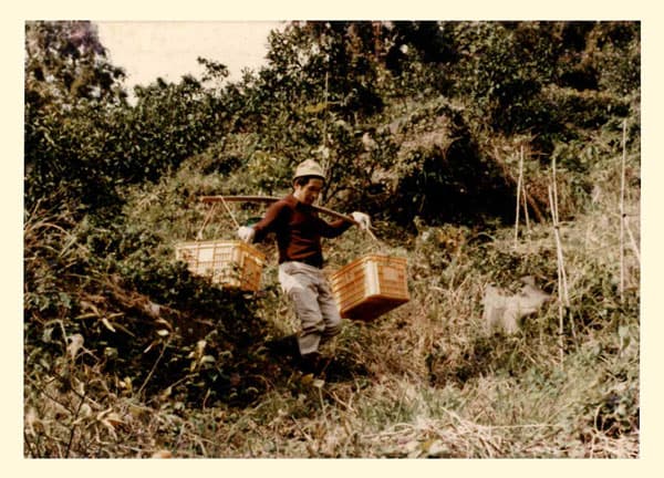 【座談会】日本農業は"存亡の機"　現状打破へ"行動の時"（下・３）