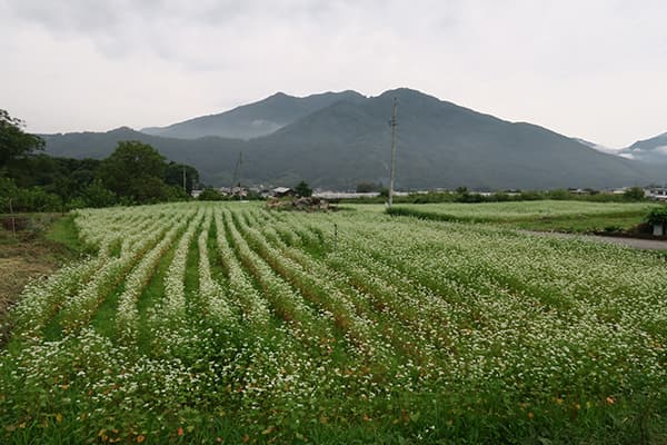 随想：山田順子　都市の生活支えた農民と下層労働者－江戸時代の暮らしに学ぶ持続可能な社会