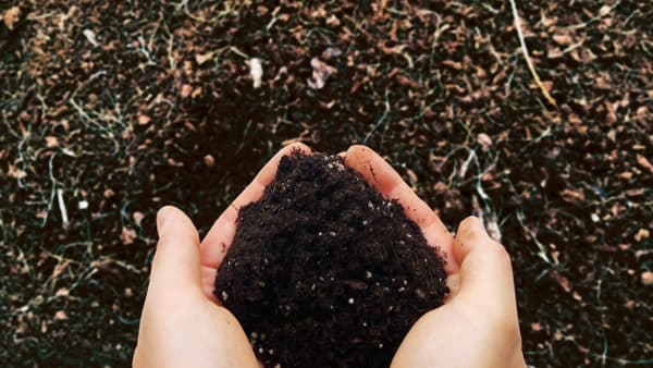 【サステナ防除のすすめ】ＩＰＭ防除の実践（病害編）　生態系、環境に配慮（1）生物的防除とは