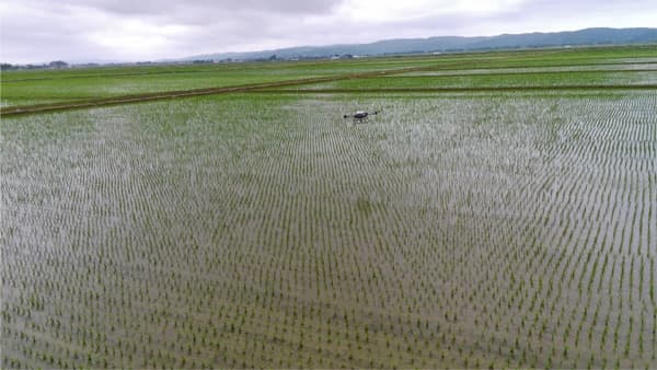 楽粒の省力検証　水稲除草剤の散布時間の比較　最大83％の時間削減も　北興化学工業
