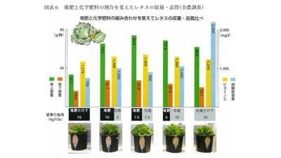 【現場で役立つ農薬の基礎知識2022】堆肥利用に高まる関心　土づくりと複合肥料活用のコツは（２）
